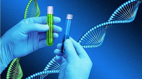 Xét nghiệm ADN giá rẻ