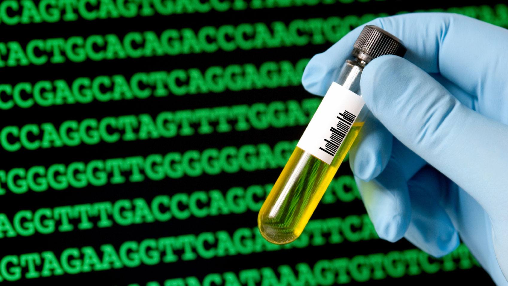 Dịch vụ xét nghiệm ADN